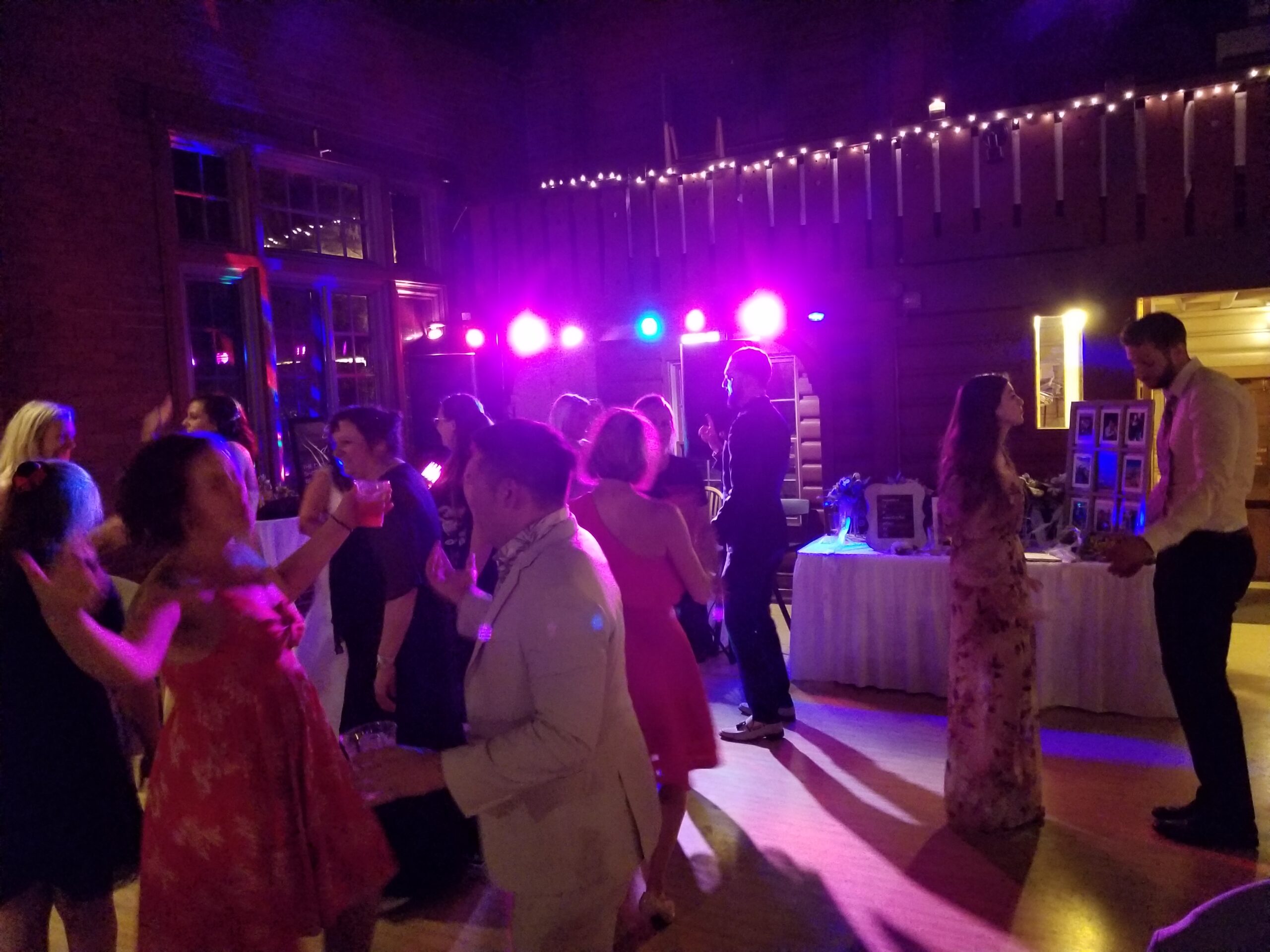 dj lighting at hubbard park lodge in milwaukee | MUP DJ services, an affordable wedding dj company